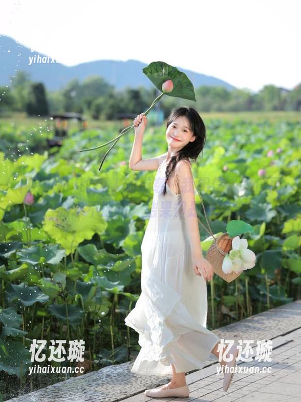 吃瓜人的逆袭：我相信“吃瓜网”的永不迷路，结果却是一场梦！